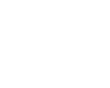 PCI Icon